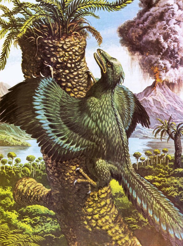 Archéoptéryx - Roger Payne