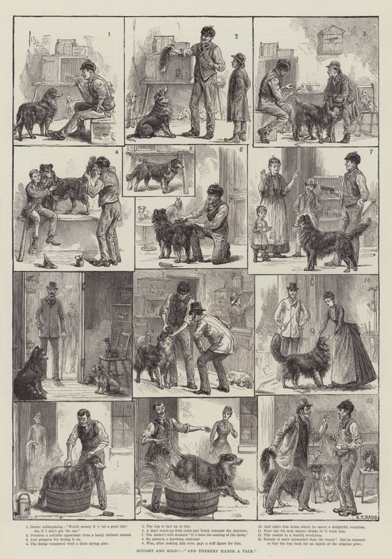 Acheté et vendu ! Et voilà une histoire - S.T. Dadd
