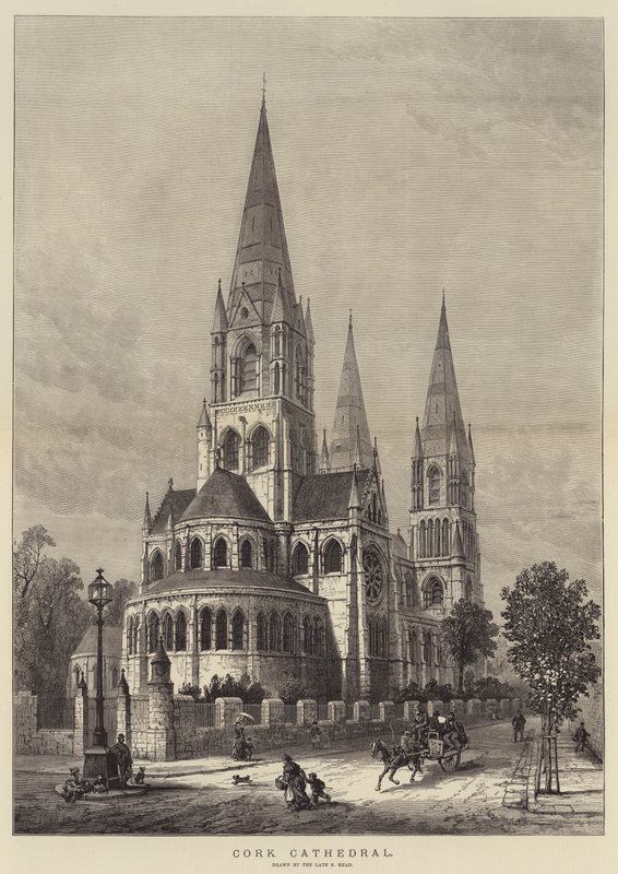 Cathédrale de Cork - Samuel Read