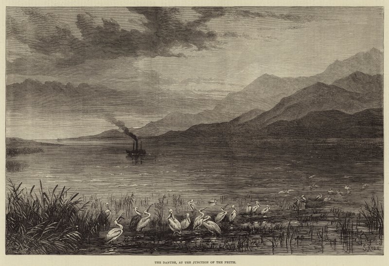 Le Danube, à la Jonction du Pruth - Samuel Read