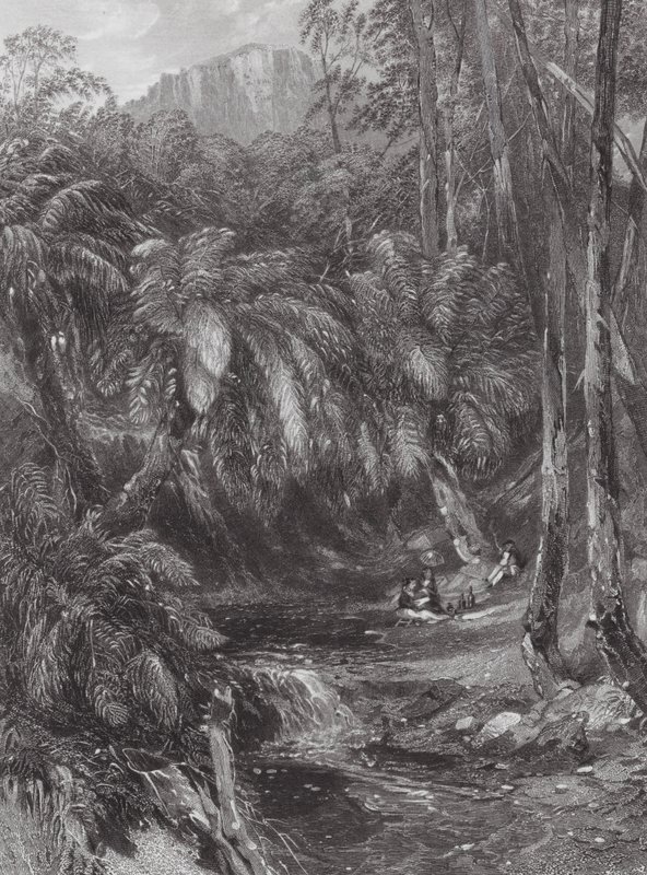 Australie : Une vallée de fougères - Samuel (after) Prout