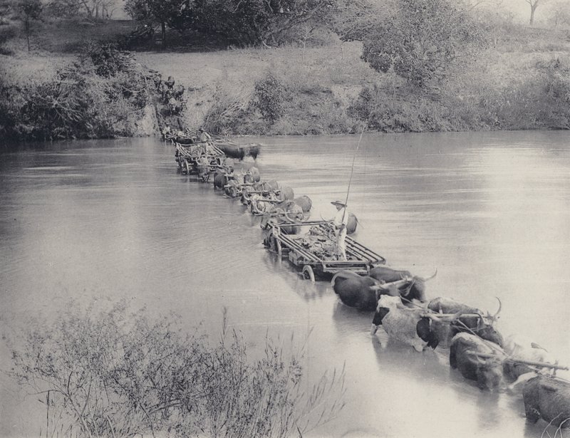 Comment les rivières sont traversées dans le Transvaal - South African Photographer