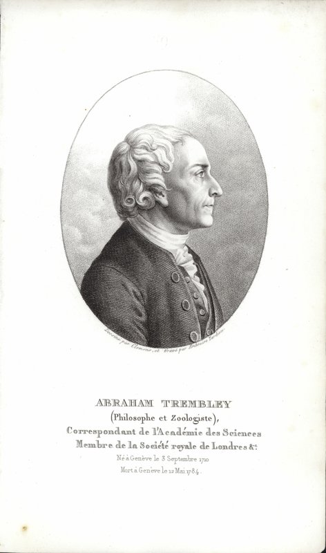 Abraham Trembley - Swiss School