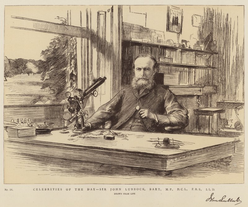 Célébrités du jour, Sir John Lubbock, baronnet, MP, DCL, FRS, LLD - Theodore Blake Wirgman