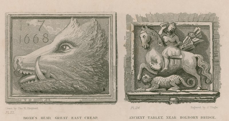 Tête de sanglier et tablette ancienne - Thomas Hosmer Shepherd
