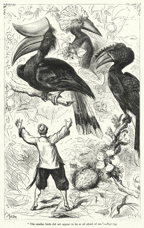 Illustration pour Les Voyages de Gulliver de Jonathan Swift - Thomas Morten