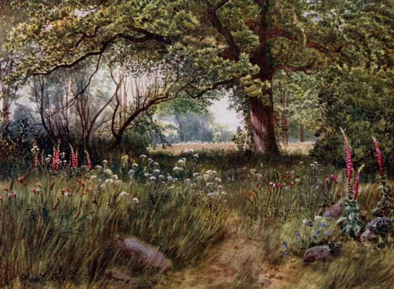 Jardins de Kew : Dans les jardins du Cottage de la Reine - Thomas Mower Martin