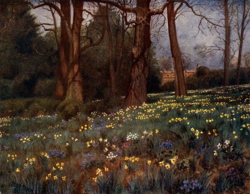 Kew Gardens : Le Jardin Sauvage au Printemps - Thomas Mower Martin