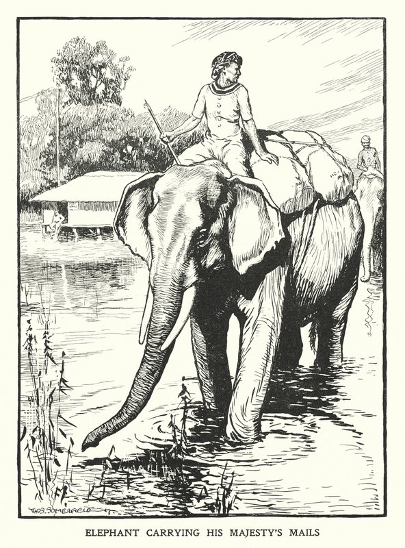 Éléphant transportant le courrier de Sa Majesté (lithographie) - Thomas Somerfield