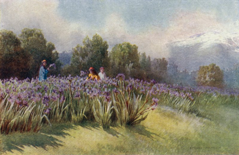 Printemps au Cachemire - Unbekannt Unbekannt
