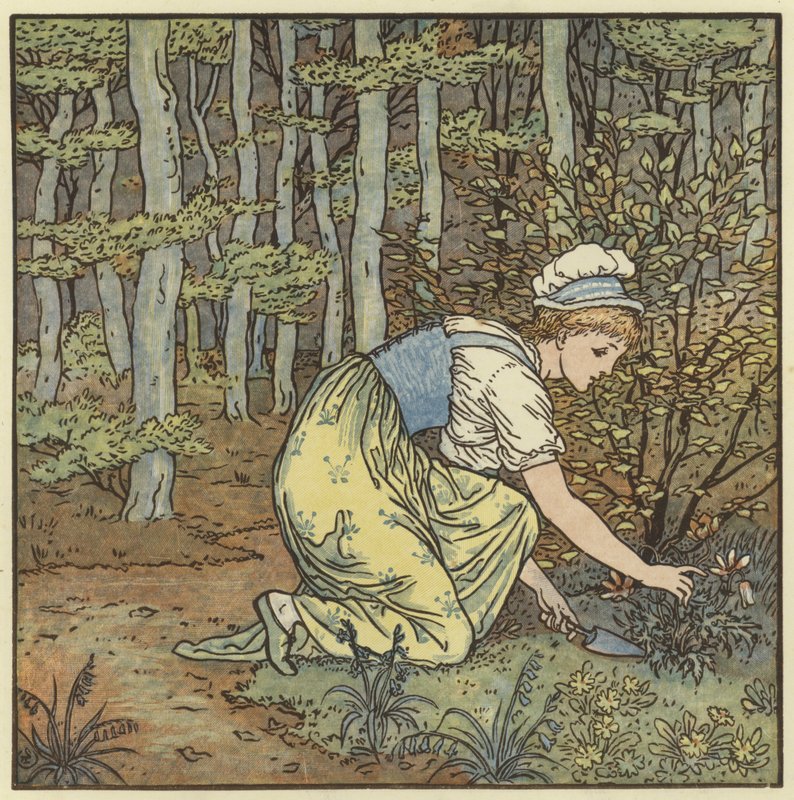 Gefunden - Walter Crane