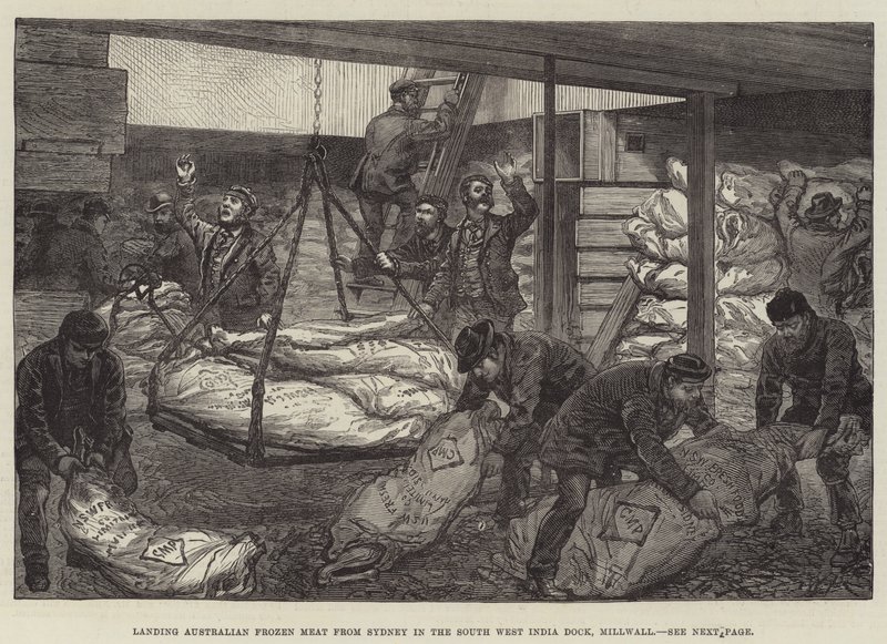 Déchargement de viande congelée australienne de Sydney dans le South West India Dock, Millwall - Walter Paget