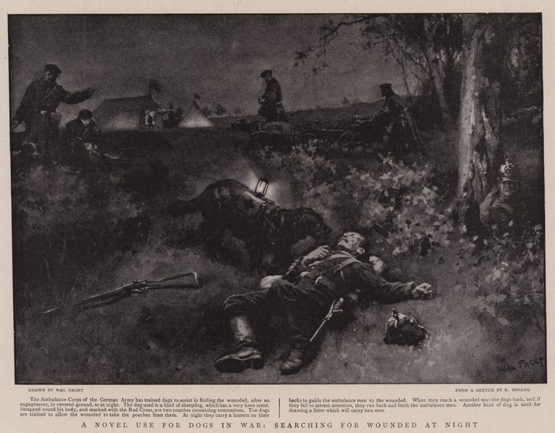 Une nouvelle utilisation des chiens en guerre, recherchant les blessés la nuit - Walter Stanley Paget