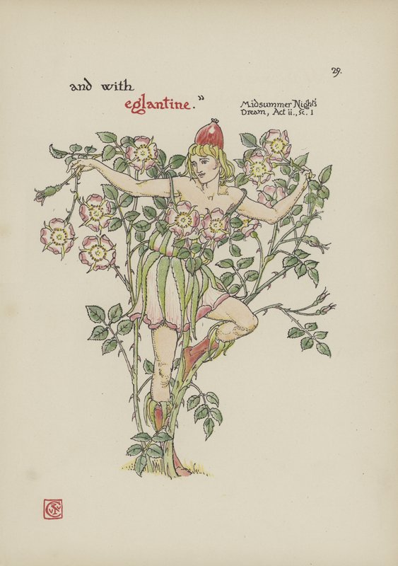 Fleurs du jardin de Shakespeare - Walter Crane