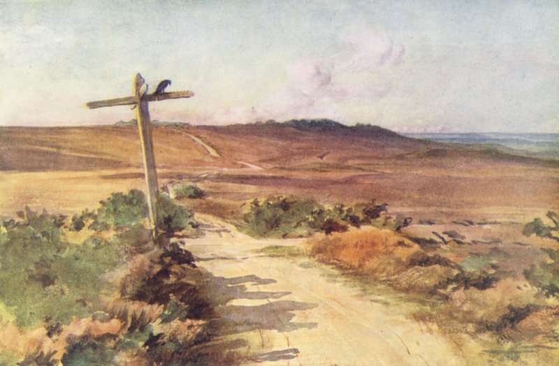Wessex : Bere Heath en automne, avec Gallows Hill au loin - Walter Frederick Roofe Tyndale