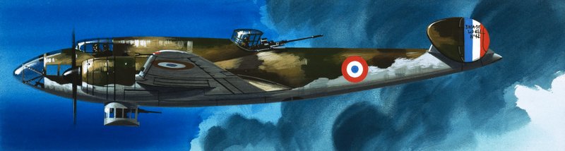 Dans le bleu : Les avions français de la Seconde Guerre mondiale - Wilf (20th century) Hardy