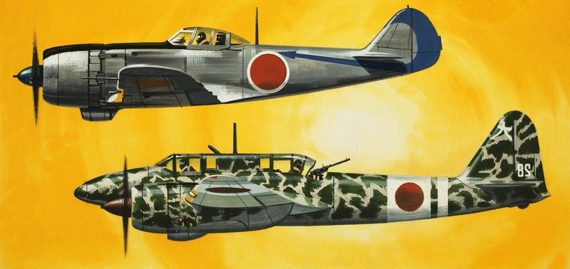 Dans le bleu : Les avions japonais de la Seconde Guerre mondiale - Wilf (20th century) Hardy
