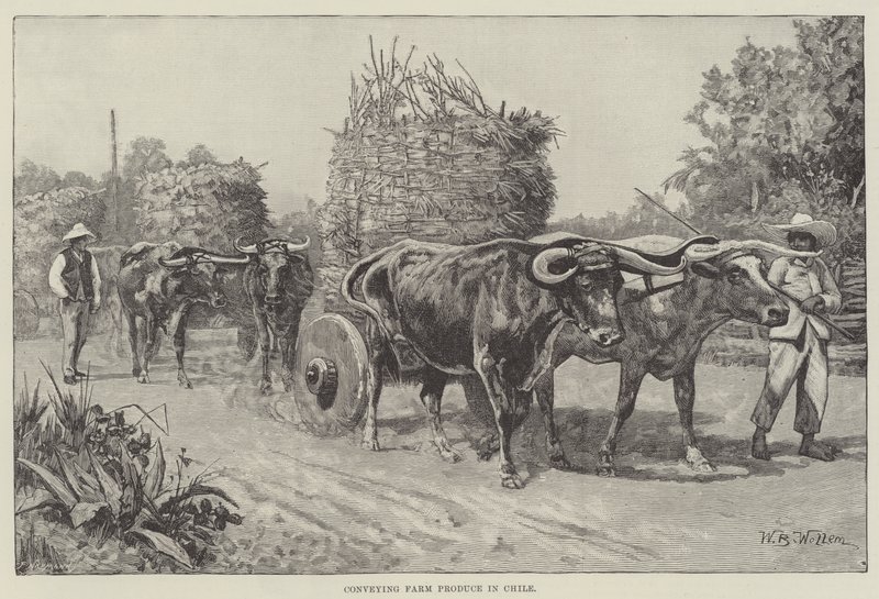 Transport de produits agricoles au Chili - William Barnes Wollen