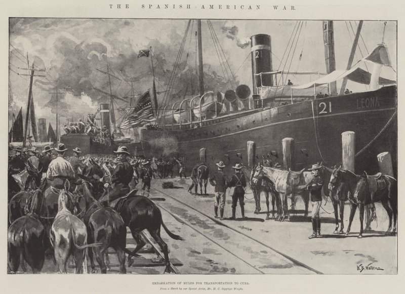 La guerre hispano-américaine, embarquement des mules pour le transport à Cuba - William Barnes Wollen