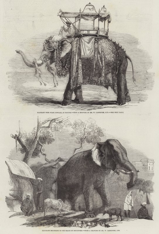 Éléphants indiens - William Carpenter