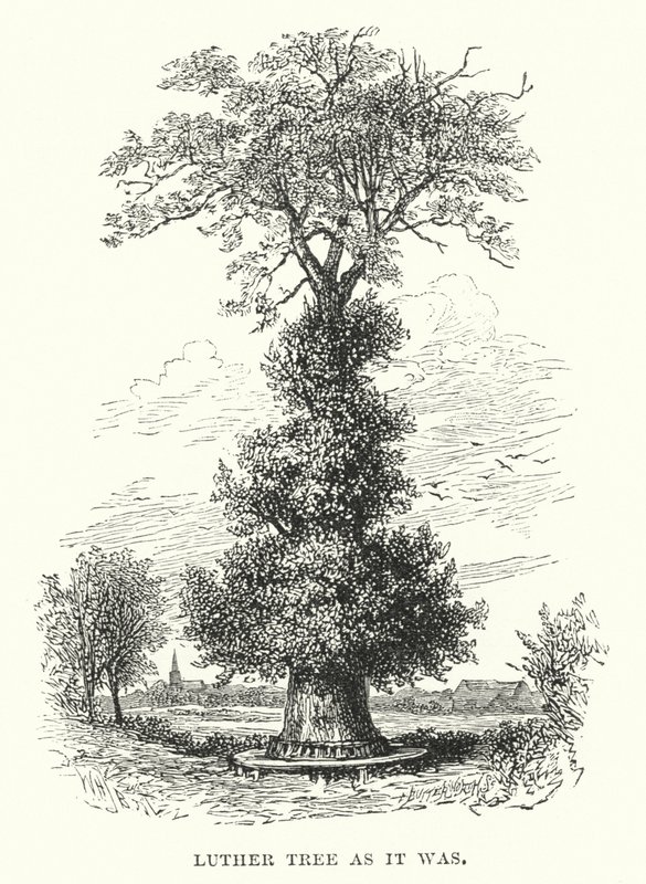 Arbre de Luther tel qu