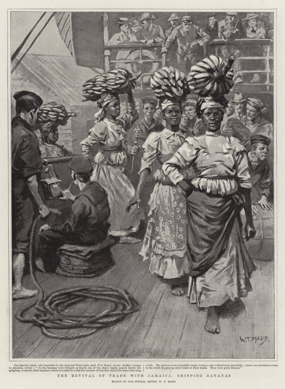 La reprise du commerce avec la Jamaïque, expédition de bananes - William T. Maud