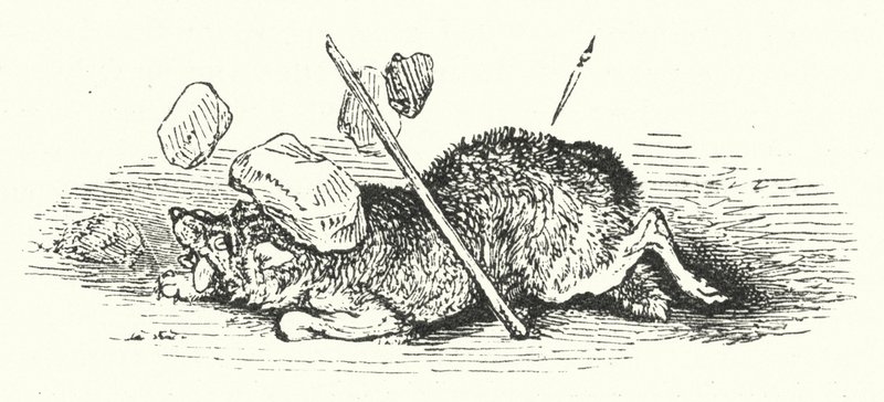 La Mort du Loup - William (after) Harvey