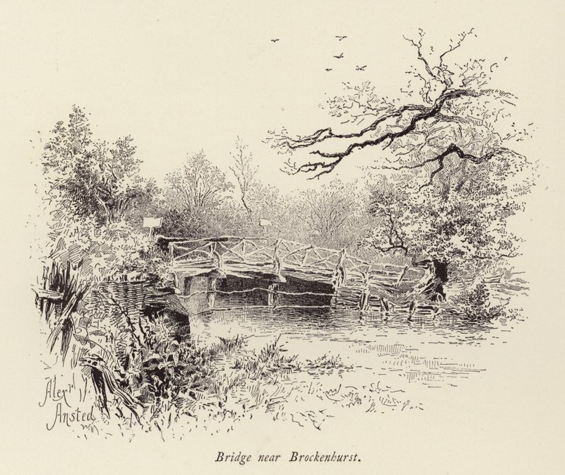 Pont près de Brockenhurst - William Alexander Ansted
