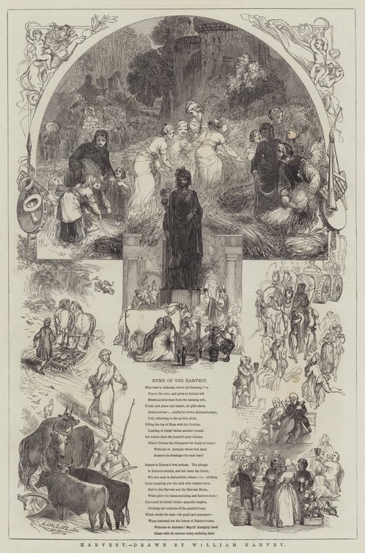 Récolte - William Harvey