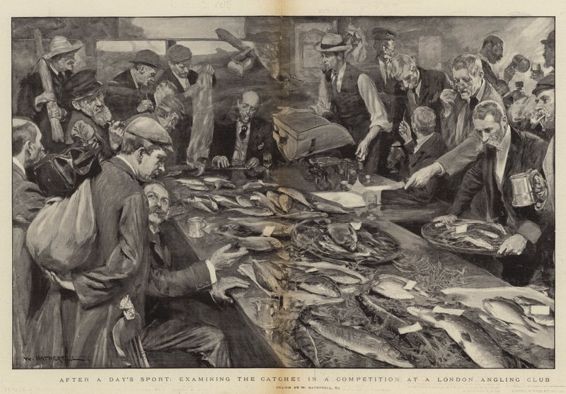Après une journée de sport, examen des prises dans une compétition à un club de pêche londonien - William Hatherell