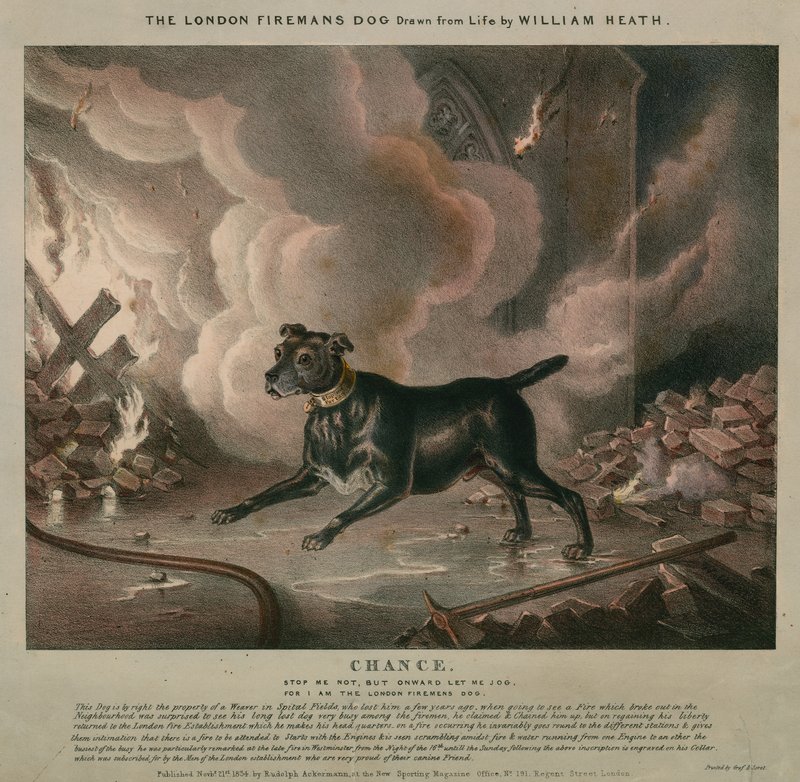 Le chien du pompier de Londres - William Heath