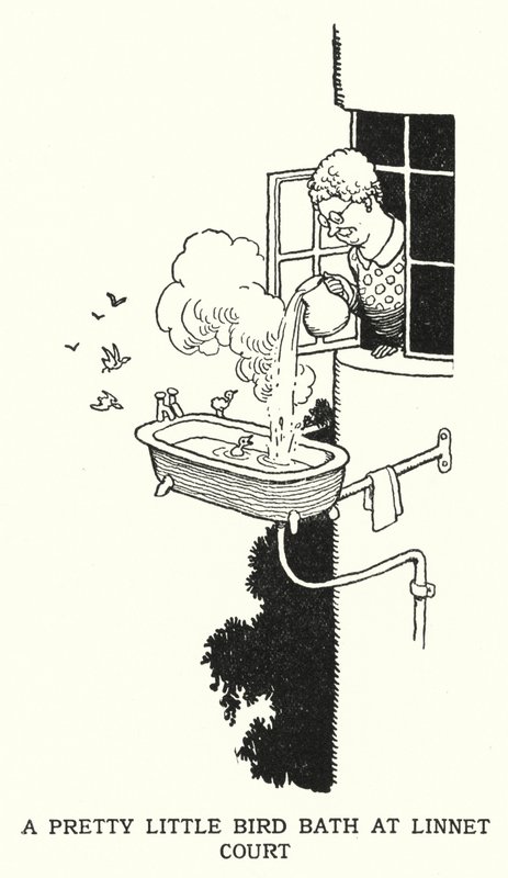 Un joli petit bain d