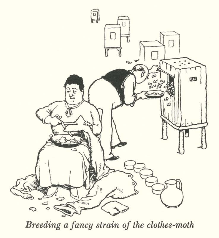 Élever une variété de mites des vêtements (lithographie) - William Heath Robinson