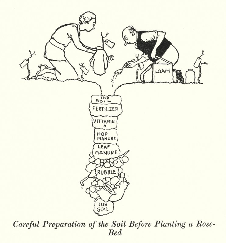 Préparation minutieuse du sol avant de planter un parterre de roses (lithographie) - William Heath Robinson