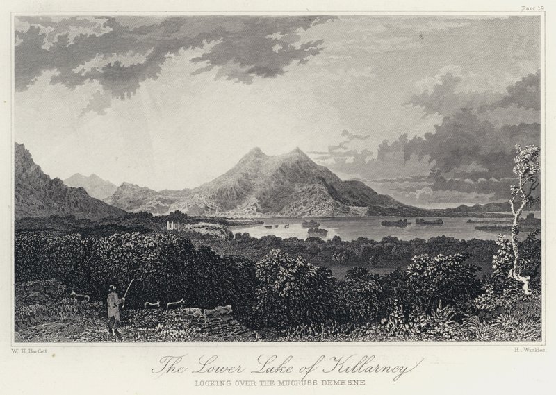 Le lac inférieur de Killarney, vue sur le domaine de Mucruss - William Henry Bartlett