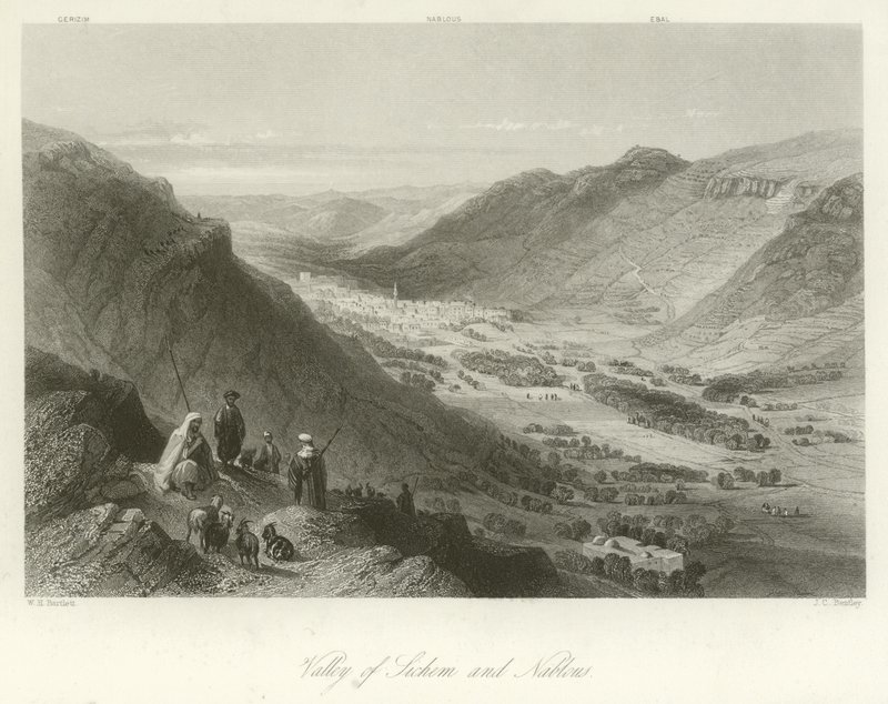 Vallée de Sichem et Naplouse, Palestine - William Henry Bartlett