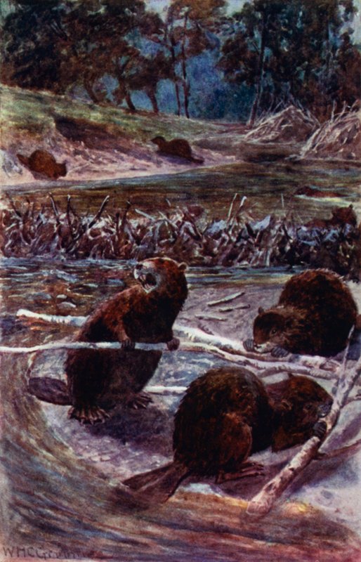 Ils construisent un barrage sur le ruisseau - William Henry Charles Groome