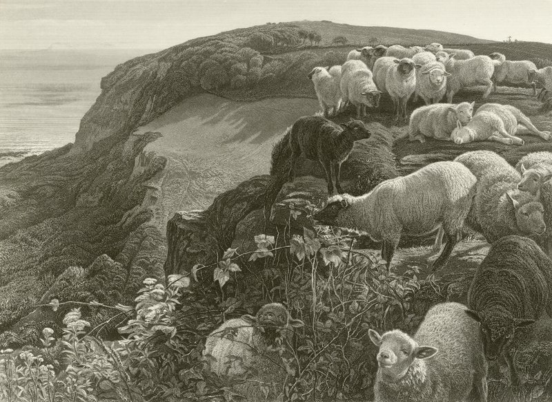 Sur la colline (gravure) - William Holman Hunt