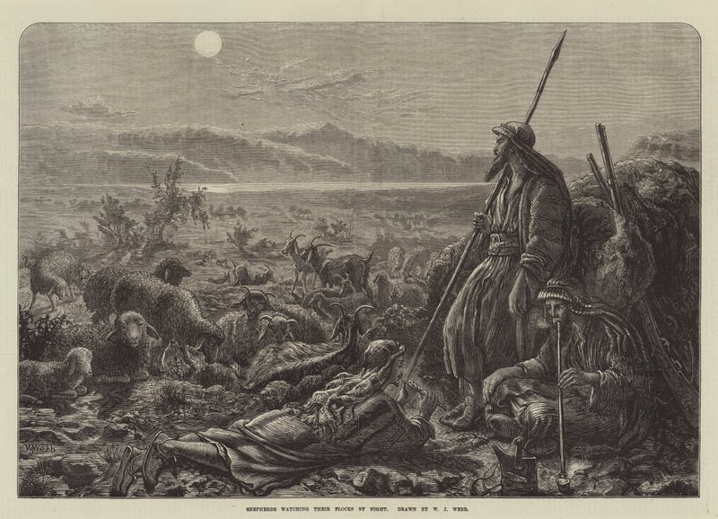 Bergers surveillant leurs troupeaux la nuit - William J. Webbe or Webb