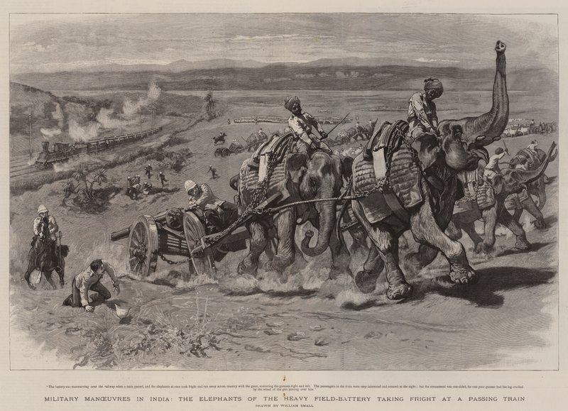 Manœuvres militaires en Inde, les éléphants de la batterie de campagne lourde effrayés par un train passant - William Small