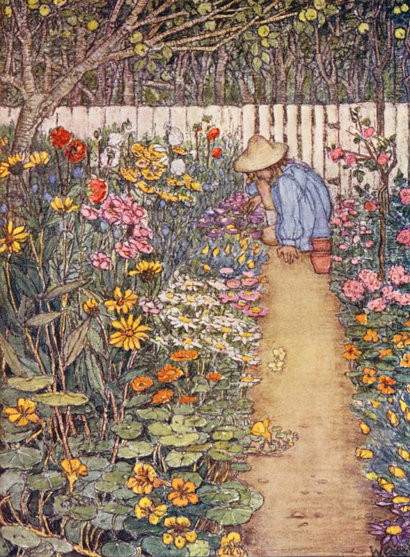 Livre de jardinage pour enfants : une bordure herbacée - Winifred Cayley Robinson