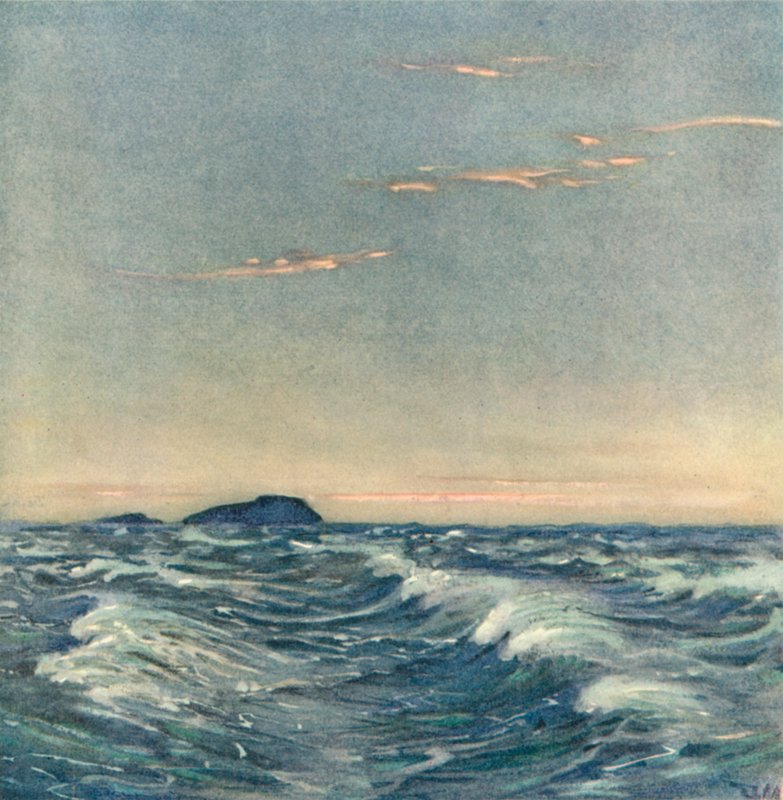 Chevaux blancs - after Donald Maxwell
