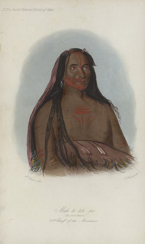Mah-to-toh-pa, Les Quatre Ours, 2e Chef des Mandans (aquatinte) - after George Catlin