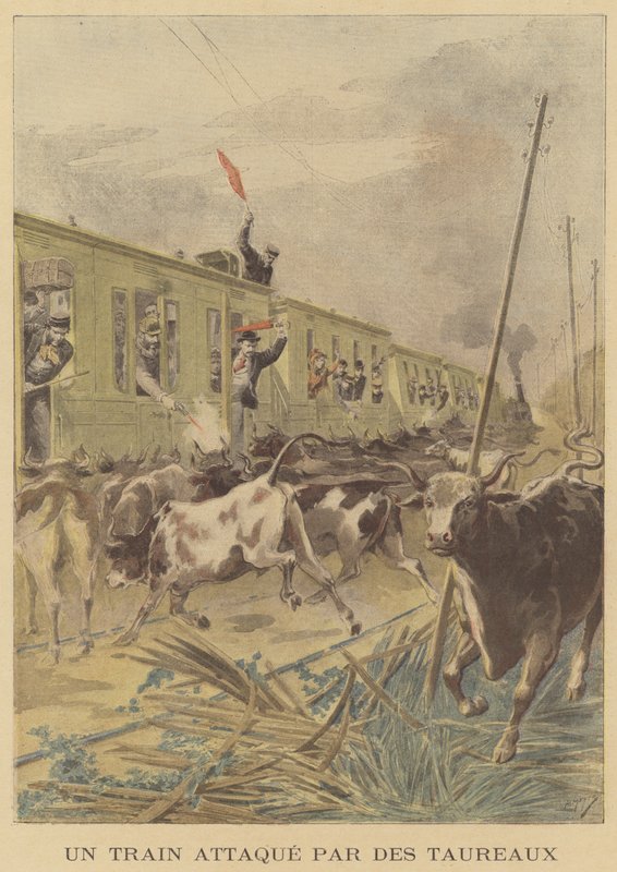 Un train attaqué par des taureaux - after Henri Meyer