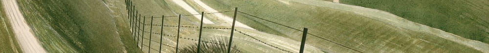 Chemins de craie (Eric Ravilious)