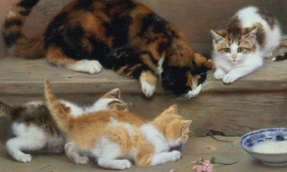 Animaux domestiques