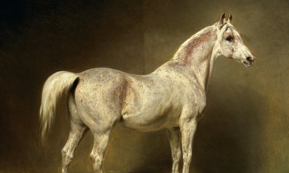 Chevaux