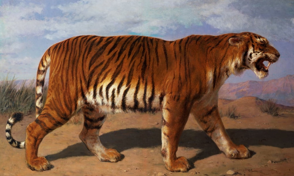 Animaux sauvages