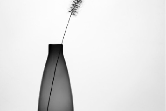 Eyal Amer