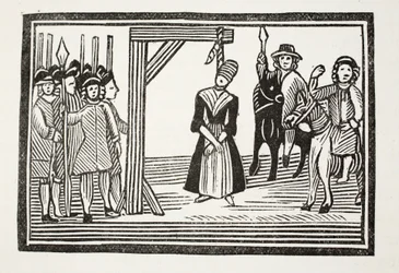 La Vie entière et les aventures de Miss Davis, communément appelée La Beauté déguisée, illustration de 